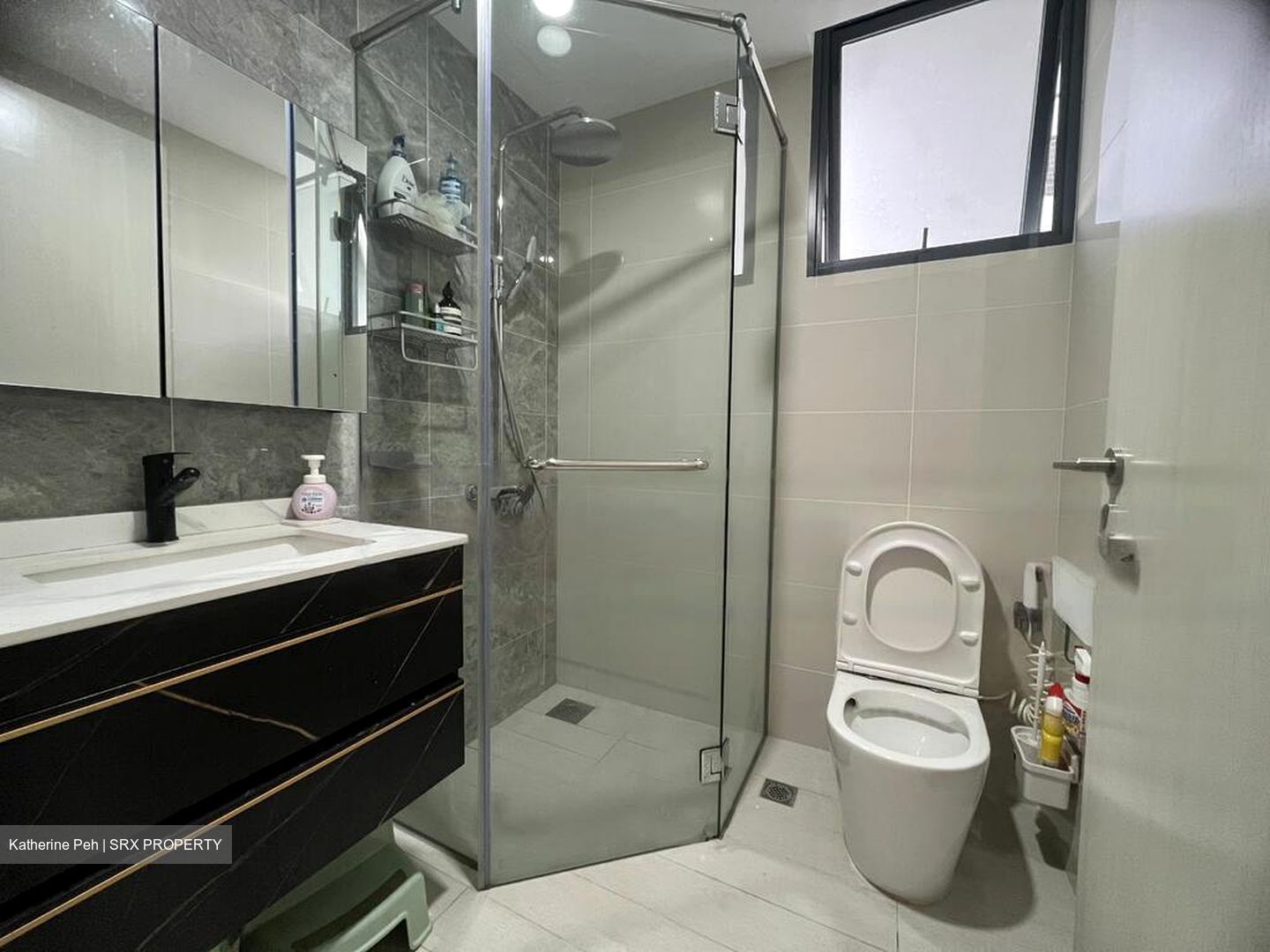 La Fiesta (D19), Condominium #485739771